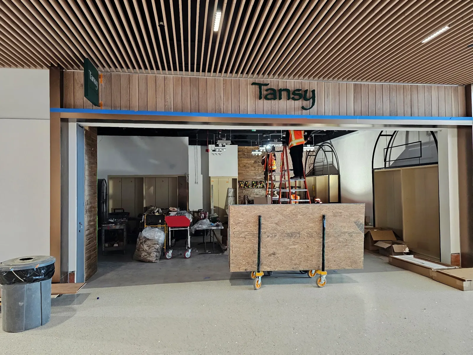 Tansy — Burbank Airport commercial project photo 2
