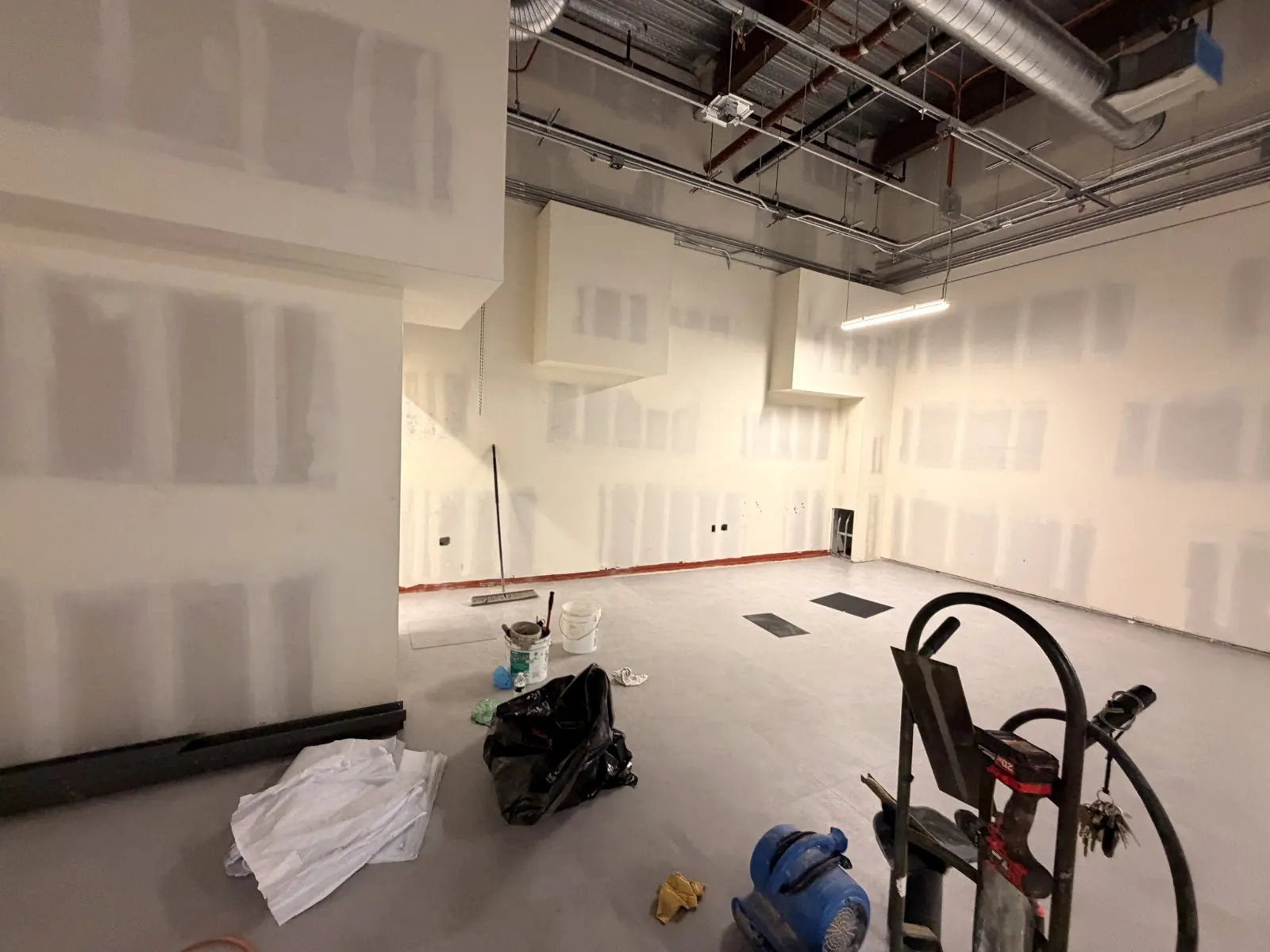 Tansy — Burbank Airport commercial project photo 6